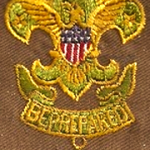 Assistant Scoutmaster Type 2 Patch