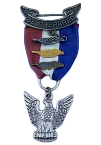 Stange Type 1 Eagle Scout Award